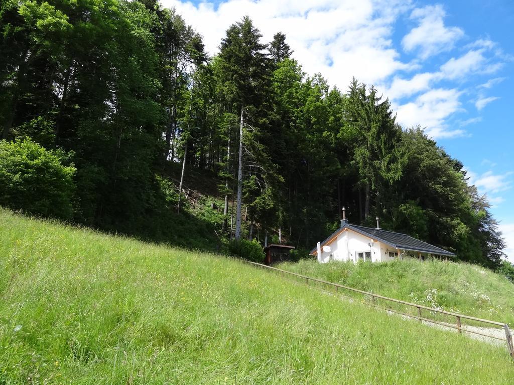 Haus Am Sternsberg Villa Sternenberg Eksteriør bilde